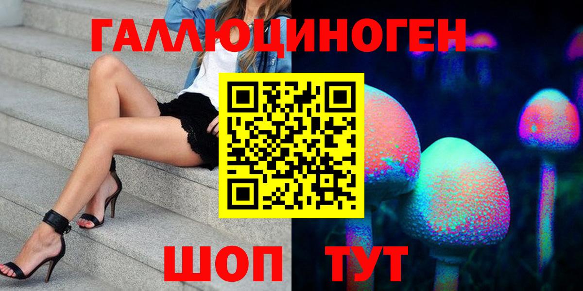 Псилоцибиновые грибы Psilocybe Краснознаменск