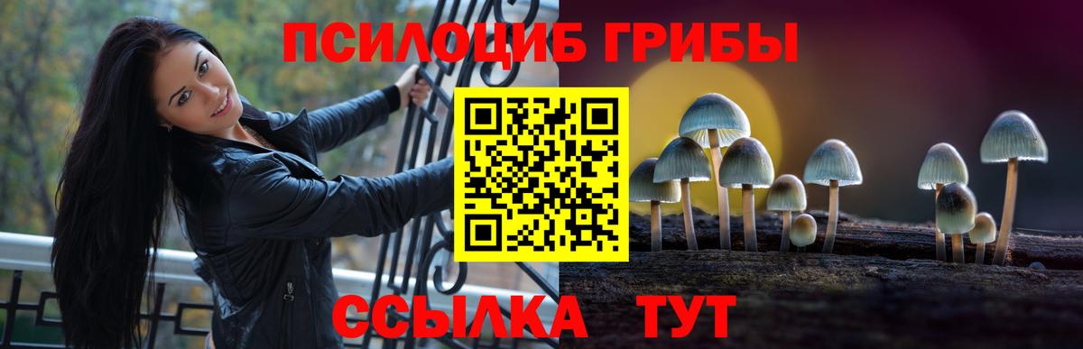 Краснознаменск  Псилоцибиновые грибы Psilocybine cubensis  Вход с VPN 